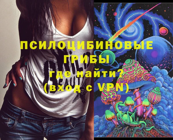 мяу мяу мука Медвежьегорск